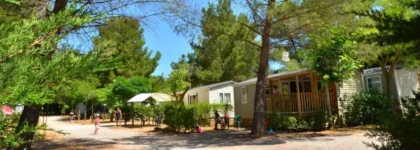 Services 4 00000406995 e1761295217819