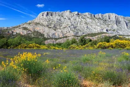 Montagne sainte victoire 4 AdobeStock 113794984