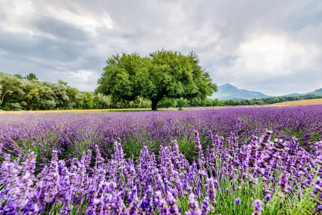 AdobeStock 1551603421