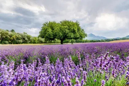 AdobeStock 1551603421