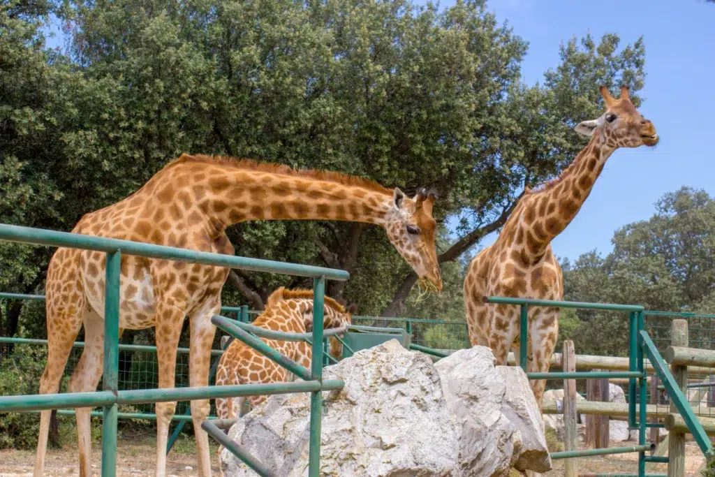 AdobeStock 240876495