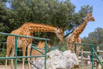 Coin des enfants 2 AdobeStock 240876495