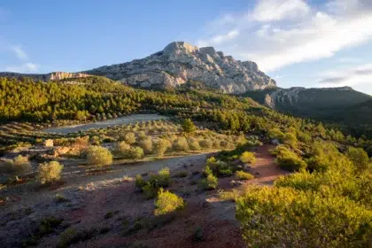 Résidentiels 2 AdobeStock 568785099